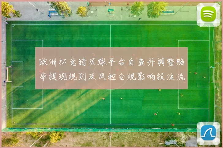 欧洲杯竞猜买球平台自查并调整赔率提现规则及风控合规影响投注流向