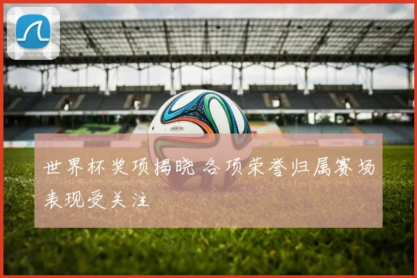 世界杯奖项揭晓 各项荣誉归属赛场表现受关注