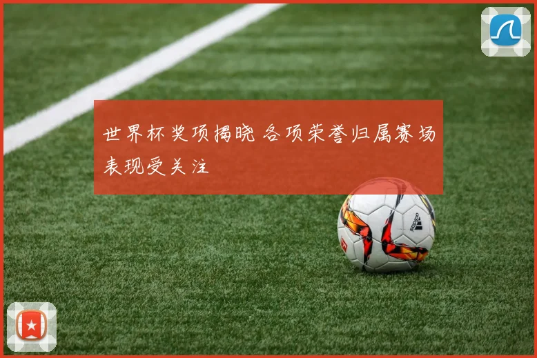 世界杯奖项揭晓 各项荣誉归属赛场表现受关注